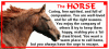 1043109600_stuffhorse.gif