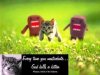 cmand kitty.jpg