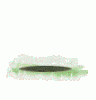 462004esquilo.gif