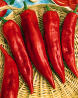 paprika - spice.jpg