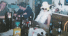 Athena Halloween.gif