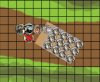 BattleA04.jpg
