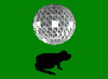 academy flag.gif