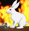 lepus the demon rabbit.gif